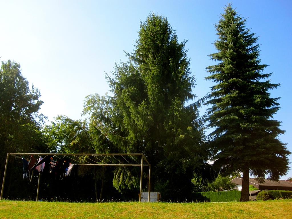 Ferienwohnung Am Ziegelbach Hechingen Exterior foto